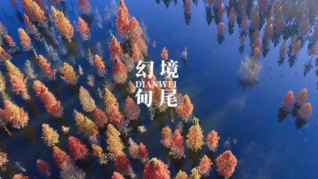 李玫瑾批评《繁花》引发热议,再次发文道歉,称将认真反思谨言慎评