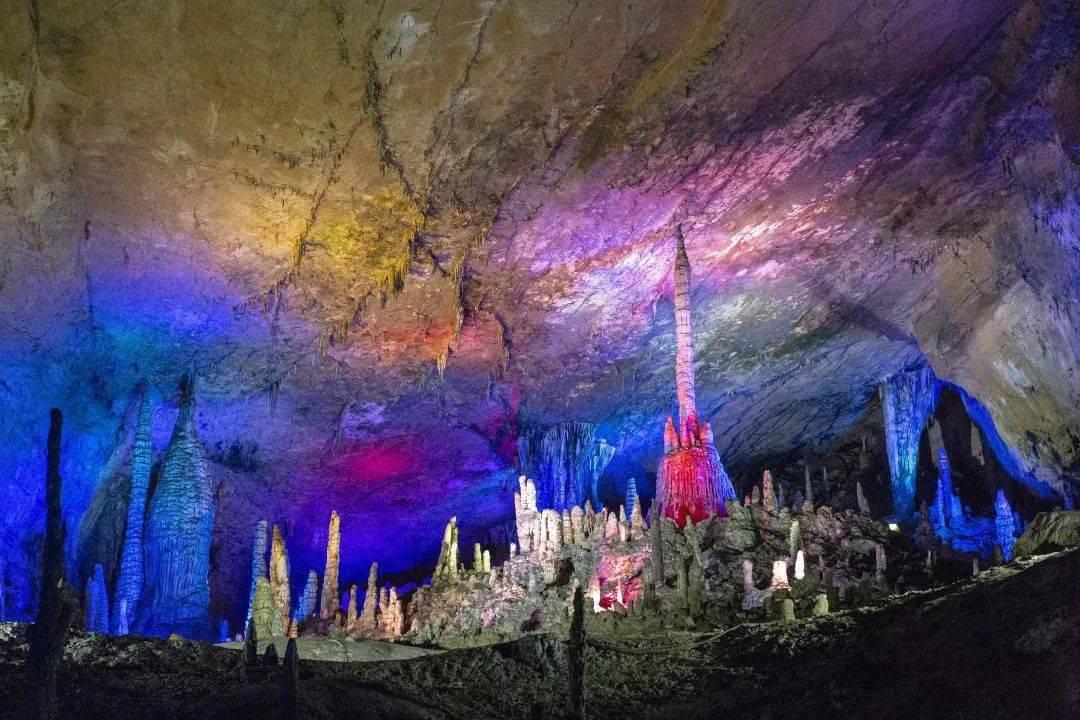 动物帮帮忙保卫家园
