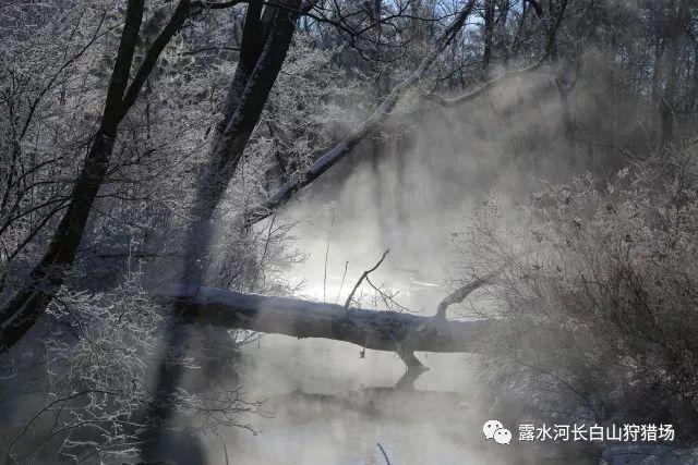 光之镇