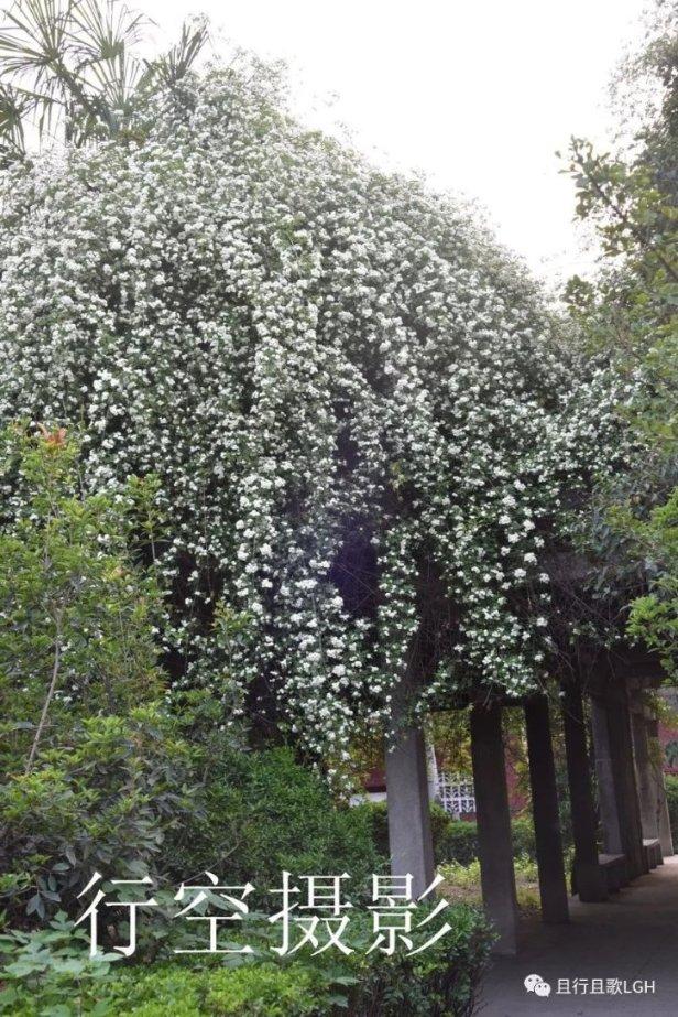 取芯机第一次应加多少机油？游戏画面