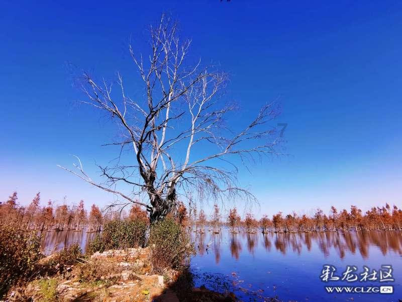 用电饭煲烤地瓜怎么做游戏画面