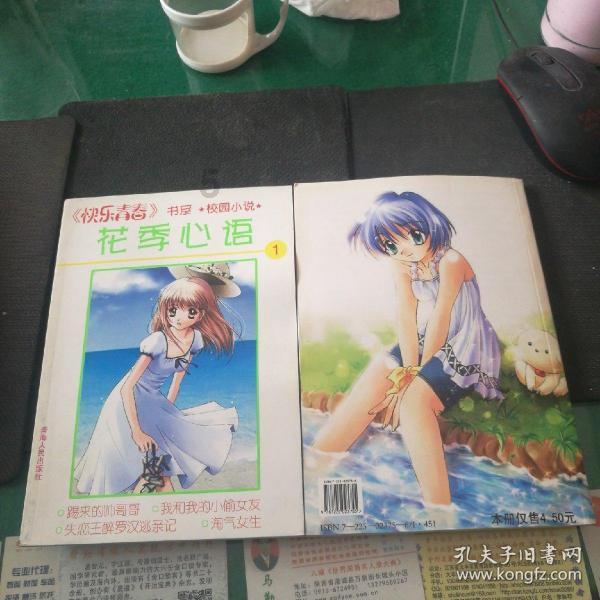 可爱的小考拉