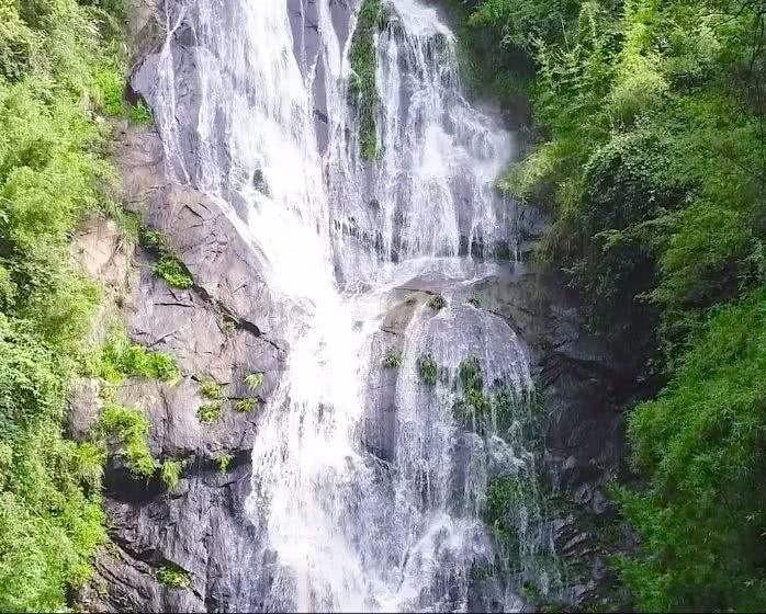 春天来了·江西菜:没咋吃出江西味儿