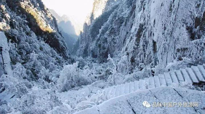中国美术人物志——姜玉春·第九届艺术名家书画大拜年