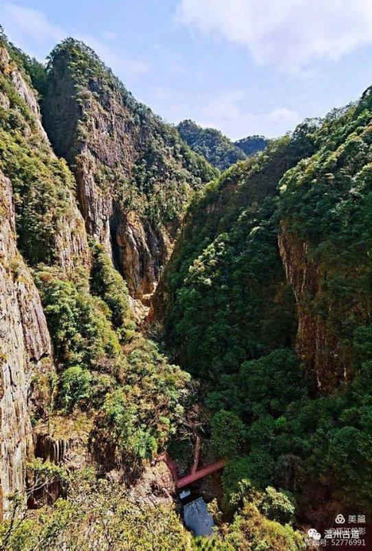 缤纷水果茶无敌版