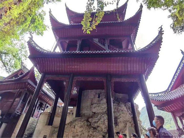 长期吃这样的素食,容易导致营养不良、血脂异常等问题